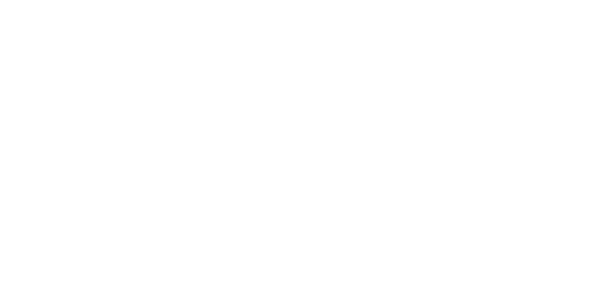 Security Executive Council